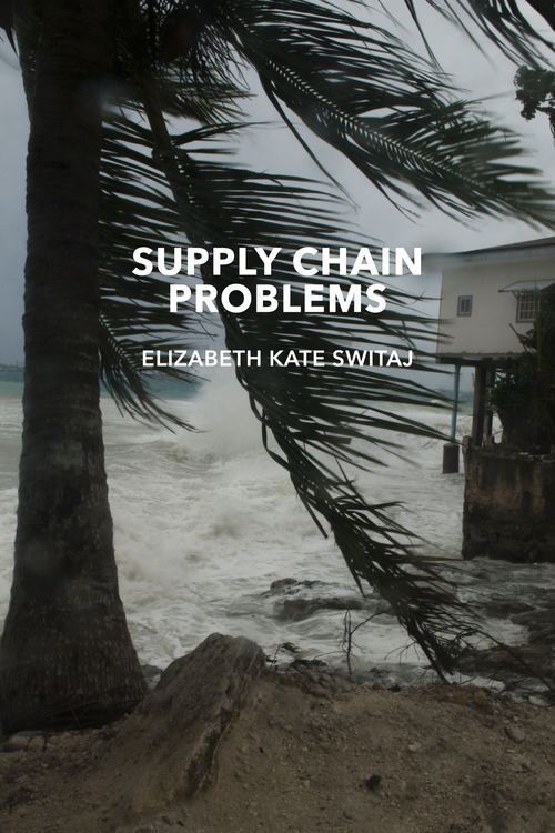 Cover of Supply Chain Problems by Elizabeth Kate Switaj, showing a storm hitting a shore with a coconut tree and a house on stilts